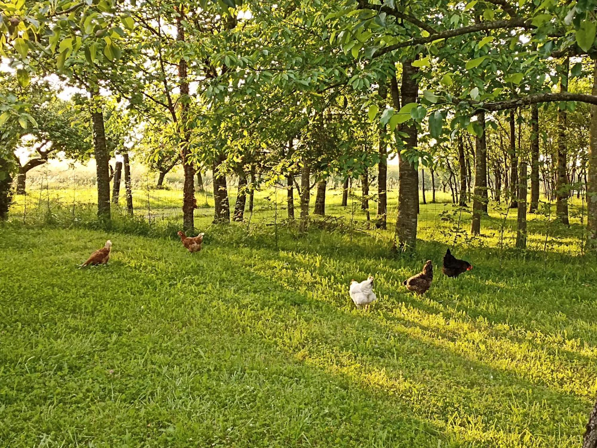 Gite Nature Et Detente Aubréville 外观 照片