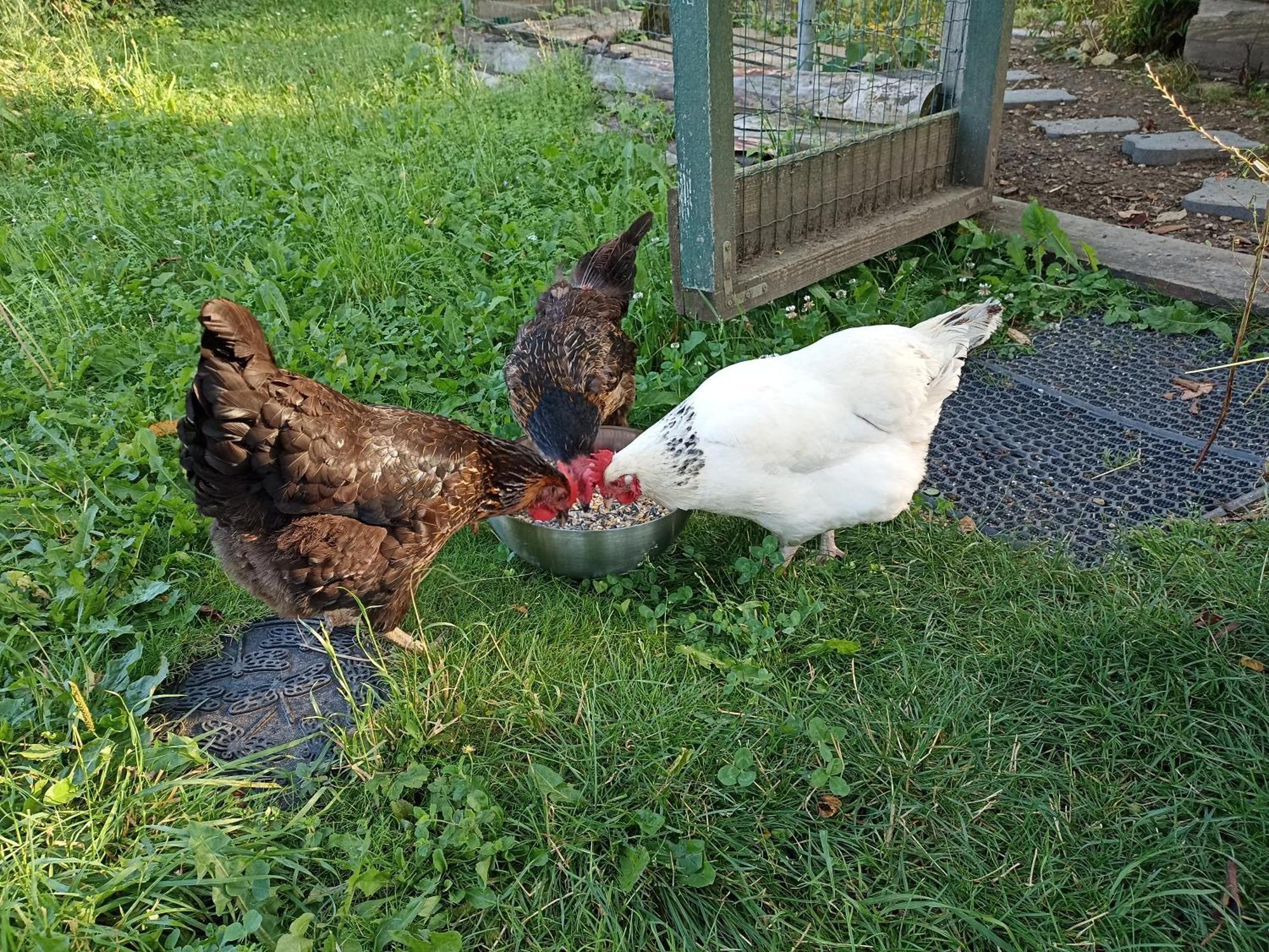 Gite Nature Et Detente Aubréville 外观 照片
