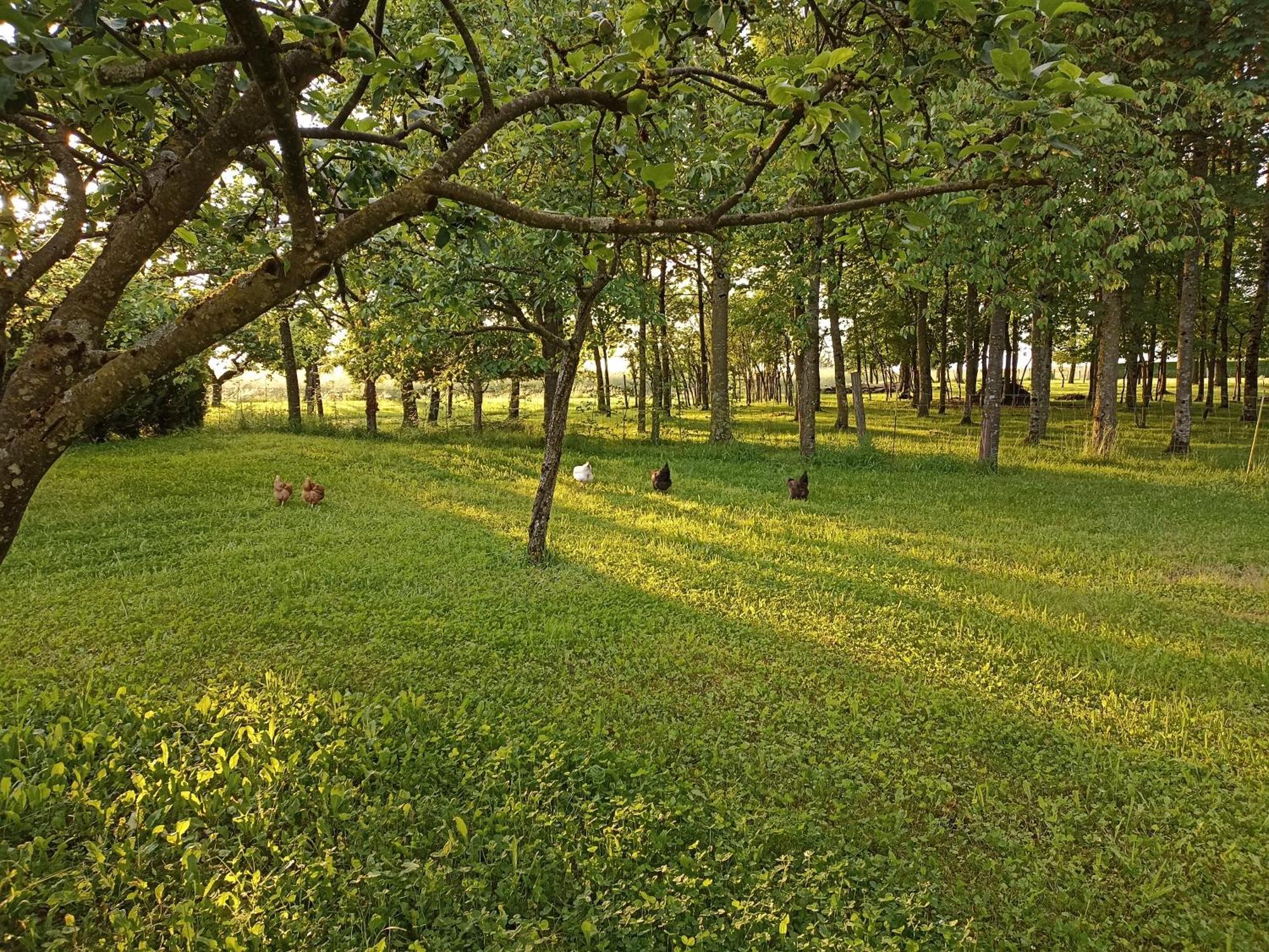 Gite Nature Et Detente Aubréville 外观 照片