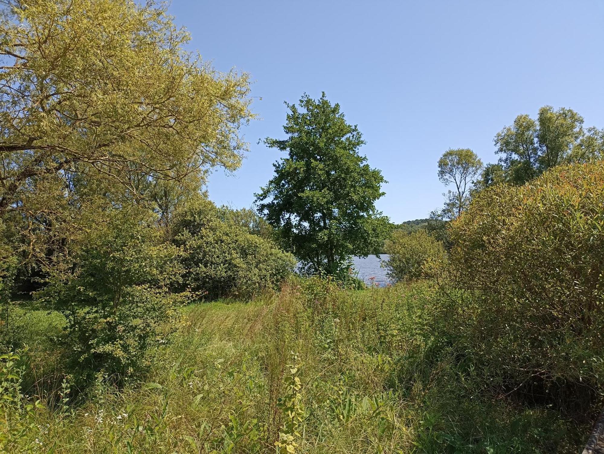 Gite Nature Et Detente Aubréville 外观 照片