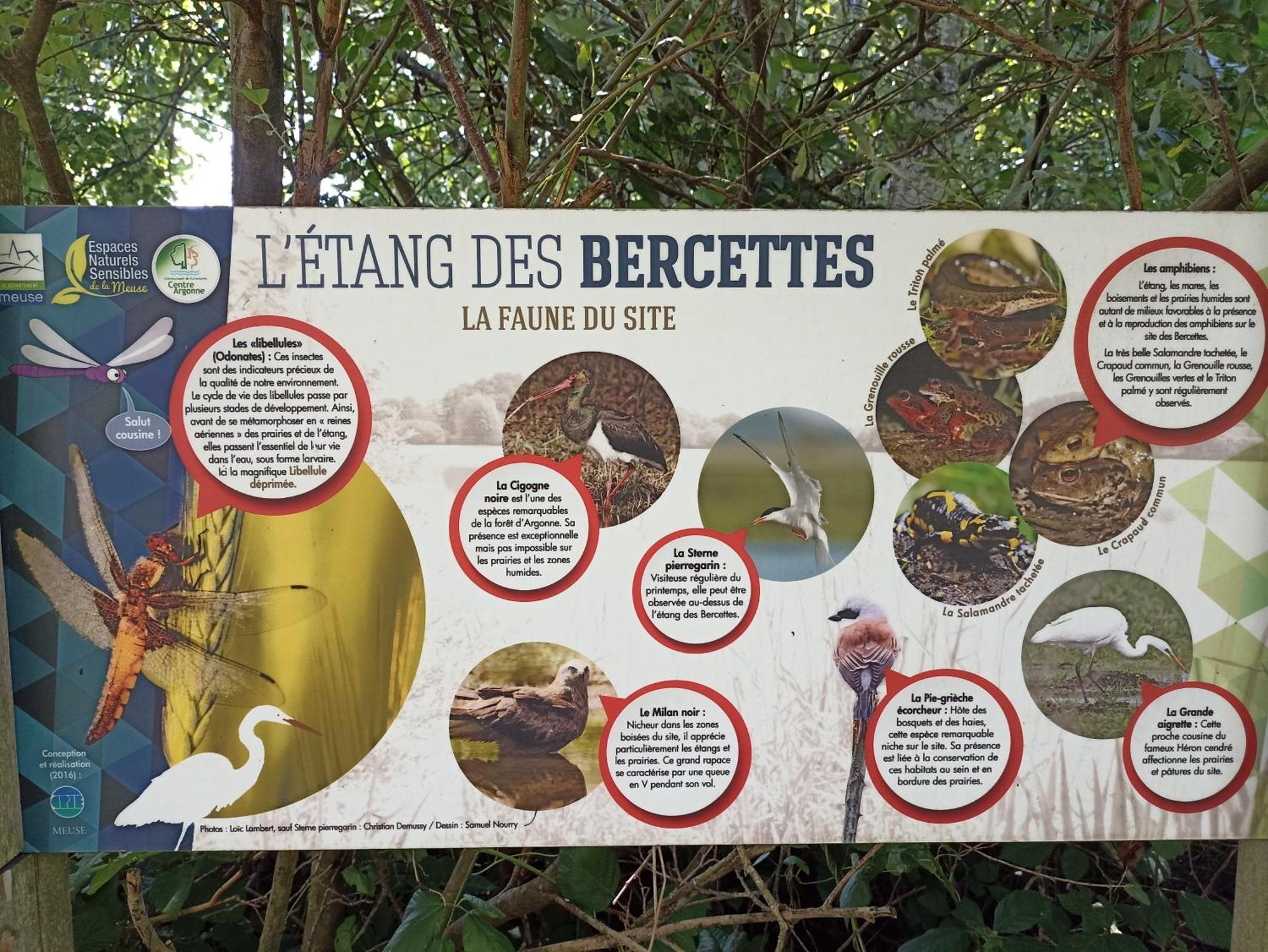 Gite Nature Et Detente Aubréville 外观 照片