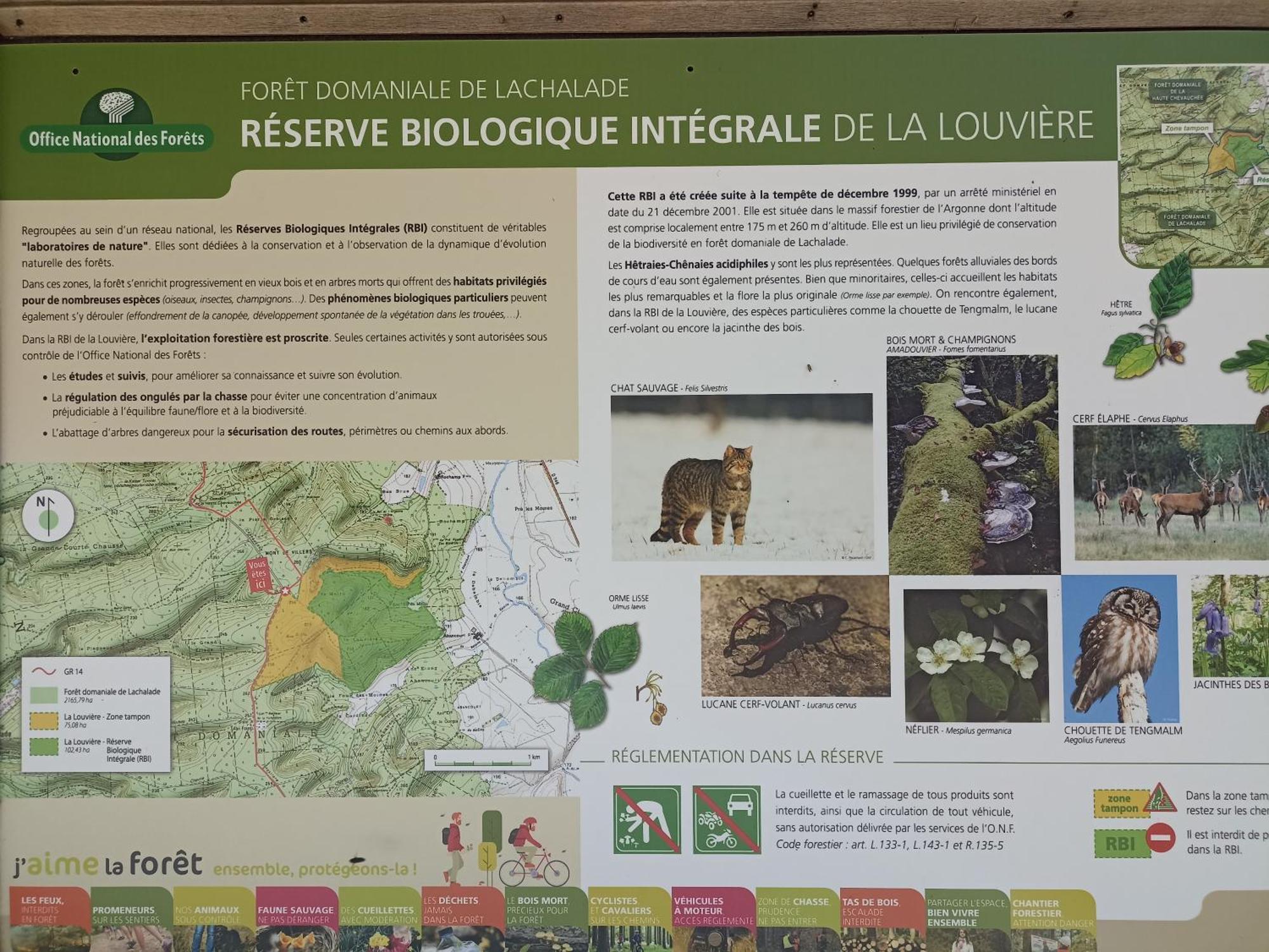 Gite Nature Et Detente Aubréville 外观 照片