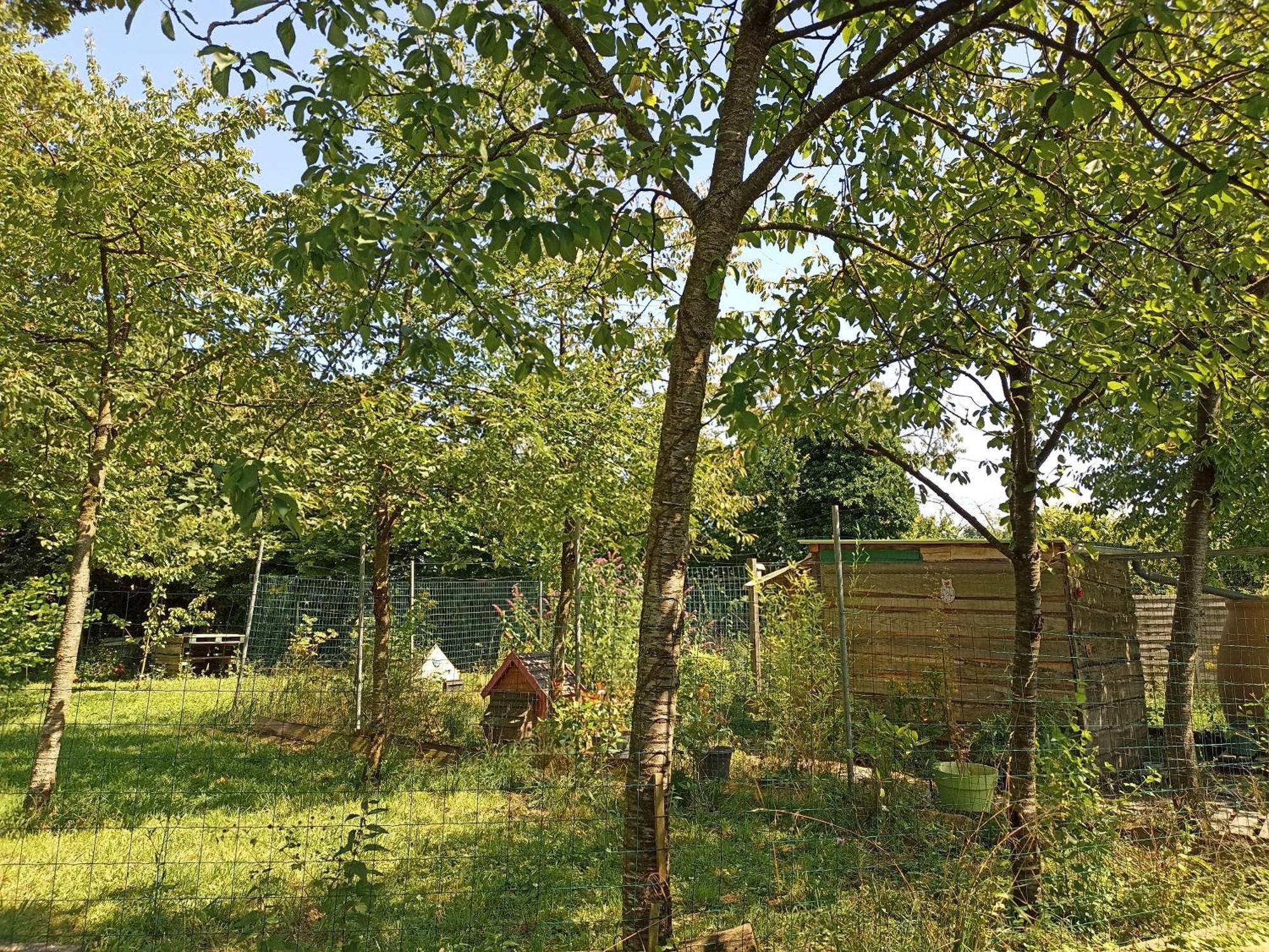 Gite Nature Et Detente Aubréville 外观 照片