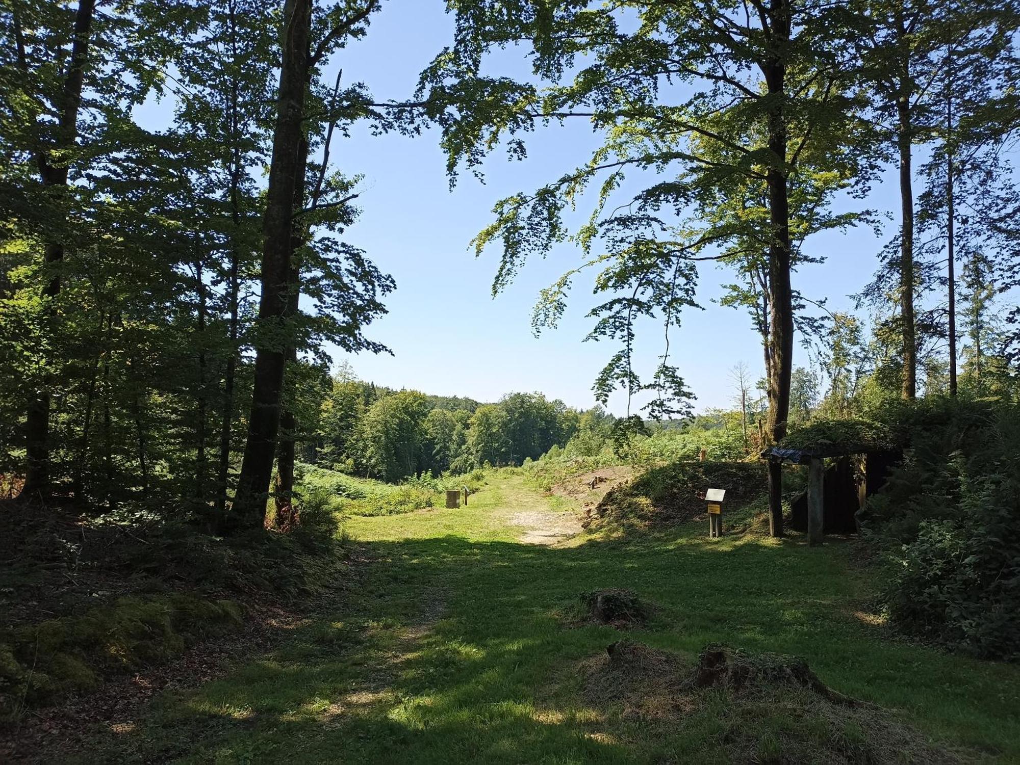 Gite Nature Et Detente Aubréville 外观 照片