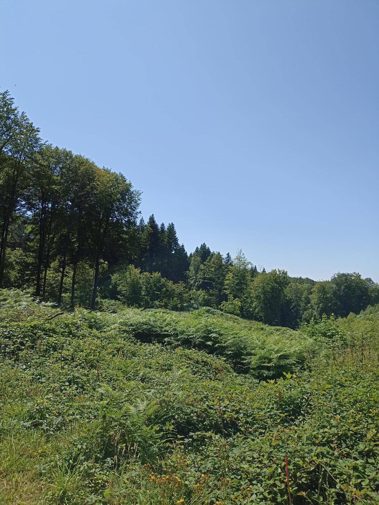 Gite Nature Et Detente Aubréville 外观 照片