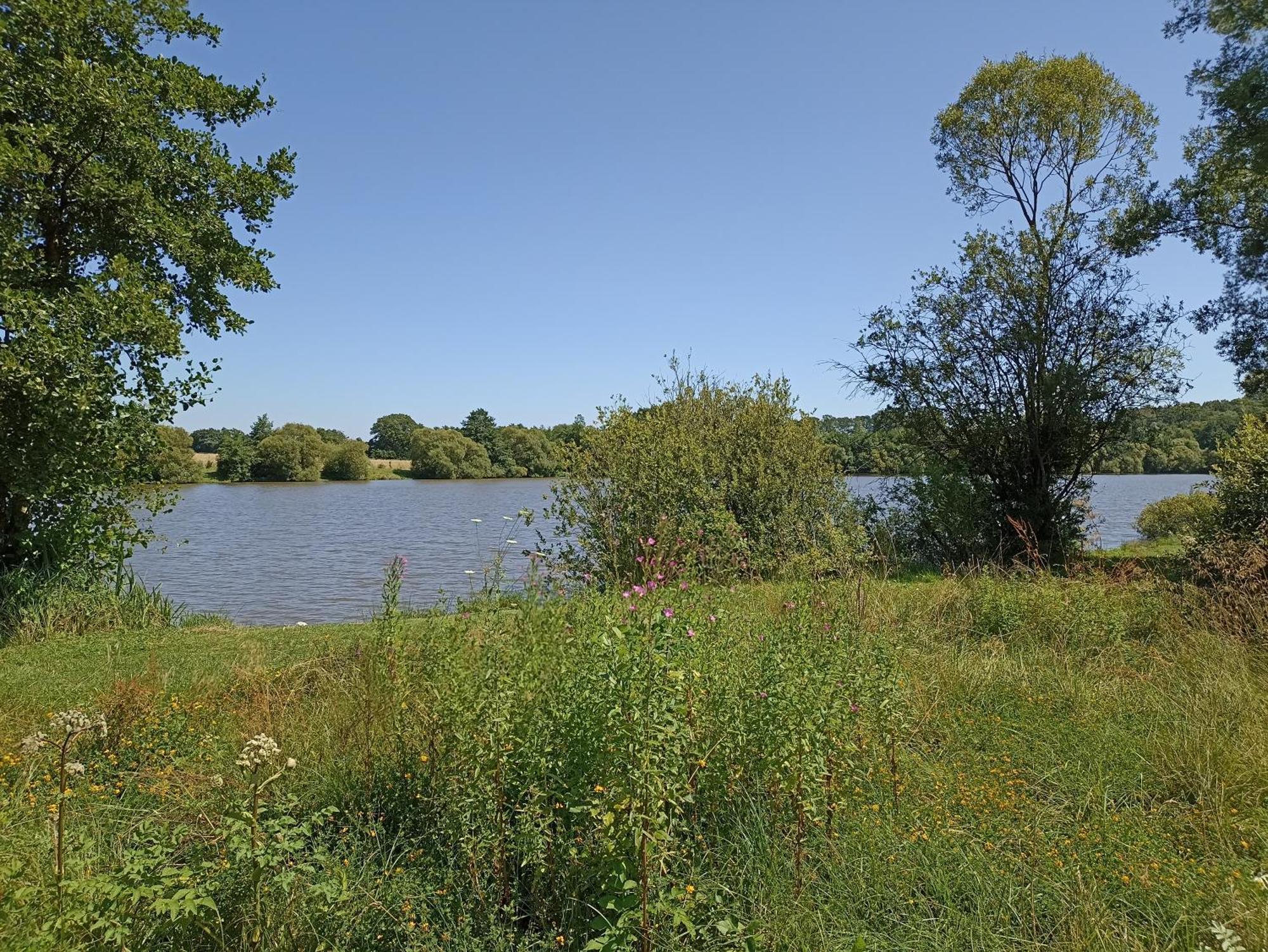 Gite Nature Et Detente Aubréville 外观 照片