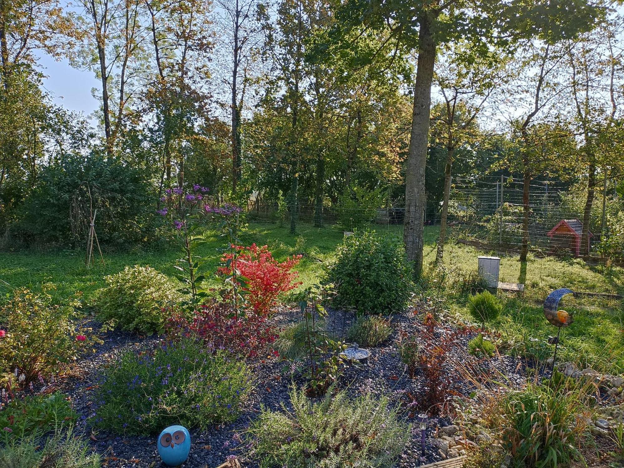 Gite Nature Et Detente Aubréville 外观 照片